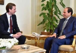 الرئيس السيسى يبحث اليوم مع رئيس ومستشار النمسا تعزيز العلاقات الثنائية