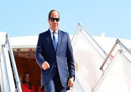 مئات المصريين يحتشدون بوسط فيينا ترحيبا بالرئيس السيسي