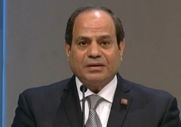 اليوم.. السيسى يلتقى مع رؤساء كبرى الشركات النمساوية