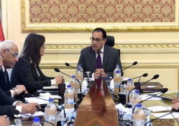 الحكومة تُجهز مبادرة رئاسية لتدريب الشباب الأفريقى