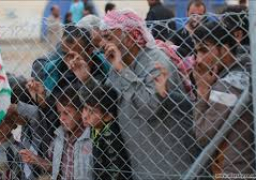 وزارة الهجرة العراقية: عودة ٥٢٨ نازحًا إلى مناطق سكنهم بالأنبار