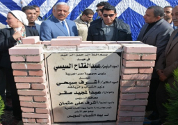 وزير الشباب ومحافظ السويس يضعان حجر أساس إنشاء بيت شباب السويس