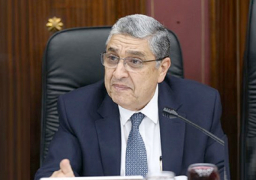 شاكر يستعرض مع وفد هيئة كهرباء فرنسا سبل دعم التعاون المشترك