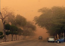 حتى تمر الرياح بسلام.. نصائح رئيس قسم الأمراض الصدرية بقصر العيني لمرضى الحساسية