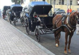 خلال أيام.. تطبيق الـ”call center” لعربات الحنطور بالأقصرعلى غرار “أوبر وكريم”