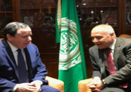 أبو الغيط يبحث مع وزير خارجية تونس ترتيبات القمة العربية مارس المقبل