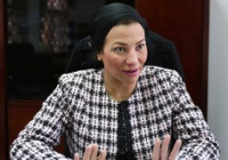 “البيئة”: ربط ٦٤ منشأة صناعية إليكترونيا بالشبكة القومية لرصد الانبعاثات الصناعية
