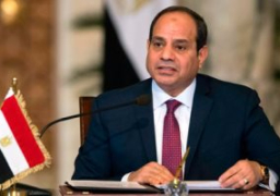 الرئيس السيسي يهنىء المصريين بالخارج بعيد الميلاد المجيد