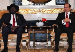بدء المباحثات الرسمية بين الرئيس السيسى ورئيس جنوب السودان سيلفا كير