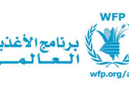 برنامج الغذاء العالمي يحذر من ان الوضع الإنساني في اليمن أصبح خطيرا للغاية
