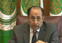 حسام زكي:عودة سوريا للجامعة العربية يتم بالتوافق