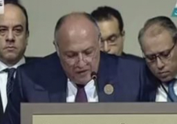 مصر تؤكد بقمة بيروت الاقتصادية أهمية العمل العربي المشترك لتحقيق التنمية المستدامة