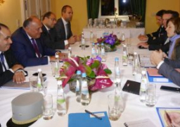 وزير الخارجية يؤكد ان العلاقات بين القاهرة وواشنطن استراتيجية