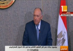 شكري: بحثنا مع الجانب الامريكي الحرب على الارهاب وملف “سد النهضة”