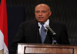 شكري يصل بيروت للمشاركة في القمة العربية الاقتصادية