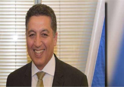 عامر: الرئيس النمساوي متأثر بحب الجالية المصرية للرئيس السيسي