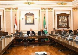“العليا لتطوير المستشفيات” تبحث مراحل تطوير” قصر العيني 2020″