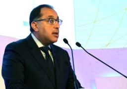 رئيس الوزراء يشكل لجنة لمتابعة آلية التسعير التلقائى للمواد البترولية