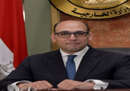 مصر ترحب بنجاح العملية الانتخابية في الكونغو الديمقراطية