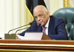 189 قانونا حصيلة 2018.. تعرف على أبرز 23 تشريعا أقرهم البرلمان