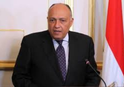 وزير الخارجية يلتقى نظيره الليتوانى اليوم فى القاهرة