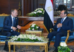 بالصور .. السيسي لرئيس المجلس الأوروبي: علينا التصدي للدول التي تدعم الإرهاب
