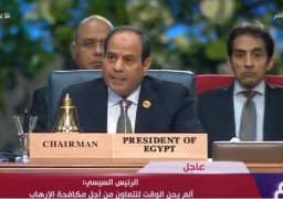 الرئيس السيسى: ملايين اللاجئين بمصر يتلقون الخدمات الحكومية مثل المصريين