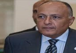 شكري يؤكد أهمية تعزيز التعاون العالمي في مجال حقوق الإنسان