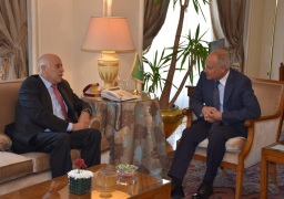 أبو الغيط يؤكد دعم الجامعة العربية القوي للقضية الفلسطينية