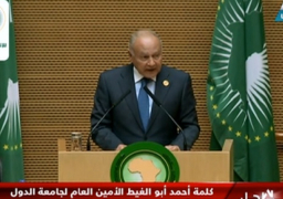 أبو الغيط: الرئيس السيسى يقدم كل الدعم للاتحاد الإفريقى