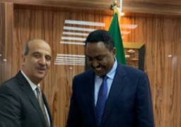سفير مصر بإثيوبيا: رئاسة مصر للاتحاد الأفريقي تتوج جهود الرئيس السيسي الخارجية