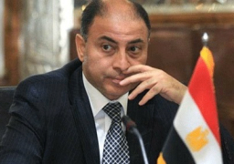 اتفاقية التجارة الحرة من أولويات مصر خلال رئاستها للاتحاد الإفريقي