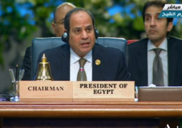 الرئيس السيسي يعلن انتهاء الجلسة الافتتاحية للقمة العربية الأوروبية الأولى في شرم الشيخ