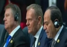 الرئيس عبد الفتاح السيسى يتقدم بالتهنئة على نجاح القمة العربية الأوروبية ويصفها بالتاريخية