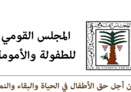 “الطفولة والأمومة” يؤيد مقترح مشروع الأحوال الشخصية الجديد