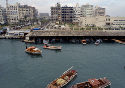 20 شركة روسية تبدى اهتمامها بالمنطقة الصناعية الروسية شرقي بورسعيد