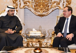 وزير البترول يبحث فرص تعزيز التعاون مع البحرين وكوت ديفوار.
