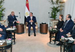 الرئيس السيسي يؤكد سعي مصر إلى تطوير نشاطها في مجال صناعة السيارات