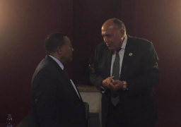 شكرى يبحث مع نظيره التنزاني مشروعات التعاون المشترك بين البلدين