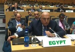 شكرى يشارك فى الاجتماعات التمهيدية للقمة الافريقية