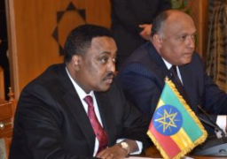 نيابة عن الرئيس السيسى .. شكرى يُشارك فى اجتماع لجنة الاتحاد الأفريقي رفيعة المستوى حول ليبيا