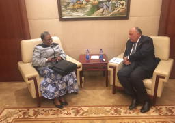 شكري يؤكد أهمية تعزيز العلاقات مع ناميبيا