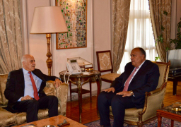 شكري يبحث مع أمين سر اللجنة المركزية لحركة فتح التطورات الفلسطينية