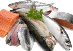 فتح باب تصدير أسماك ومأكولات بحرية “طازجة” للأردن