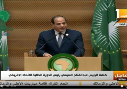 السيسى: نتطلع للتعاون مع الشركاء الاستراتيجيين للخروج بأكبر المكاسب لأفريقيا