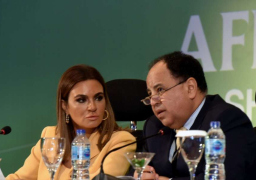 وزيرا الاستثمار والمالية ومميش يبدأون زيارة إلى كوريا الجنوبية