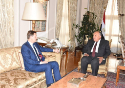 شكري يستقبل وزير خارجية سلوفينيا