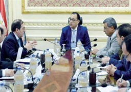 رئيس الوزراء يُتابع موقف مشروعات البترول