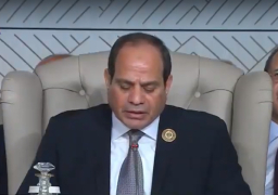 الرئيس السيسي: الإرهاب يهدد صلب الدولة الوطنية في منطقتنا.. والصراع العربي – الإسرائيلي على رأس أولوياتنا