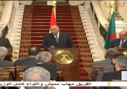 شكرى: دول الجوار تعمل على تحقيق طموحات الشعب الليبى